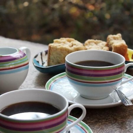 Thulamela Bed And Breakfast Hazyview Dış mekan fotoğraf