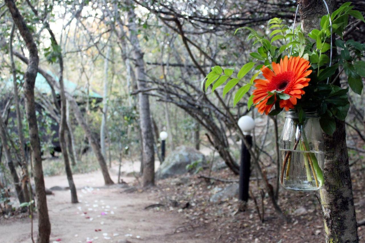 Thulamela Bed And Breakfast Hazyview Dış mekan fotoğraf